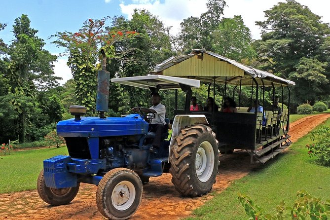 Private Transfer to Yaaman Adventure Park From Ocho Rios - Pricing and Cancellation Policy
