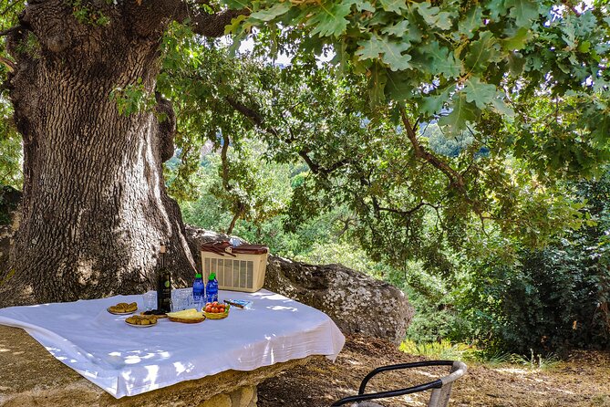 Private Trip Through the Heart of Crete, Picnic & Wine Tasting - Pricing, Booking, and Cancellation Policies