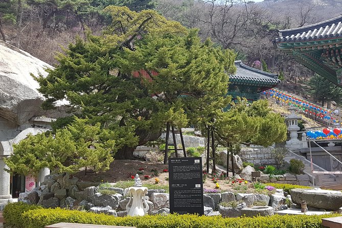 Private Trip to Seongmo Island(Temple) and North Korea Observatory+Kimchi Lesson - Activities on Ganghwa Island
