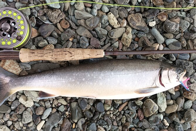 Private Trout and Char Fishing in Icelandic Serenity Experience - Ask Away