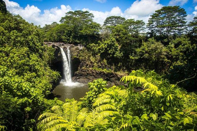 Private VAN Tour Hilo - What to Expect