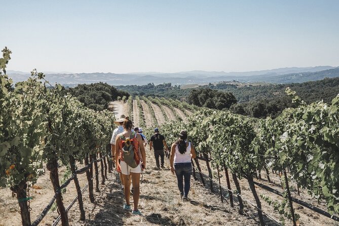 Private Wine Tour in Paso Robles - Exceptional Customer Service and Local Expertise