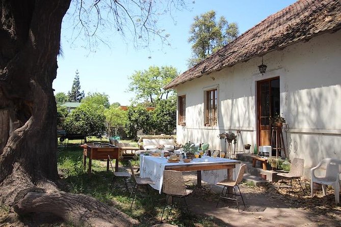 Private Wine Trekking Tour Including Chilean Country Grill - Sustainable Winemaking Practices