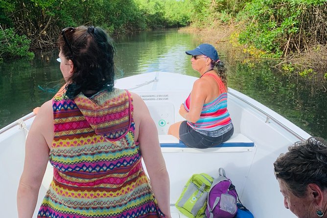 Privatize the Boat for Half a Day With Family/Friends. - Explore Martiniques Beaches and Waters