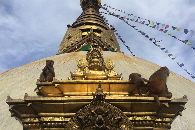 Privet Day Tours in Kathmandu Nepal - Pricing and Payment Flexibility