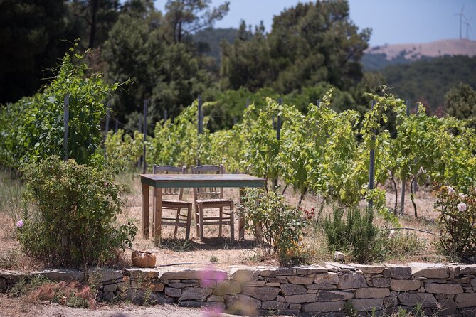 Professional Tour With Winemaker in Ikaria - Meeting Point and Location Details