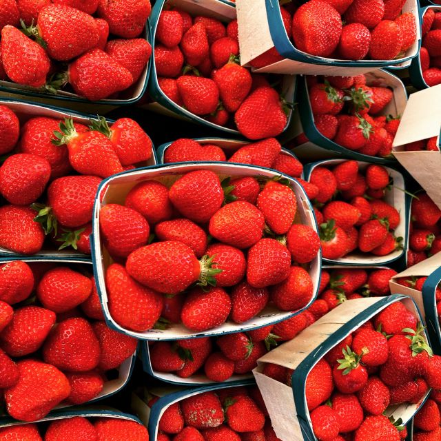 Provencal Market Walking Tour With Tastings - Participant Information