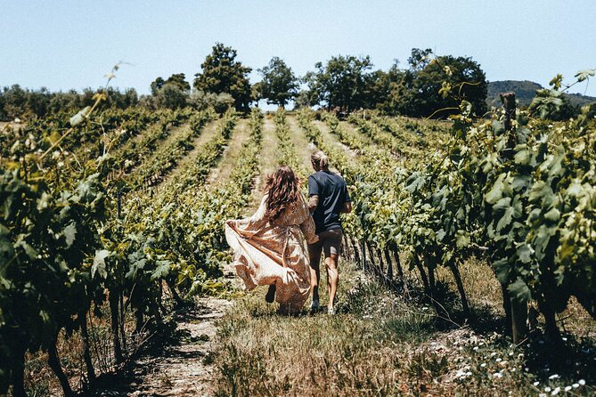Provence Wine Tour - Small Group Tour From Cannes - Exploring Provences Winemaking Legacy