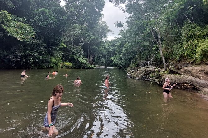 Puerto Rico: El Yunque Sightseeing Half-Day Tour With Transfer - Reviews and Feedback