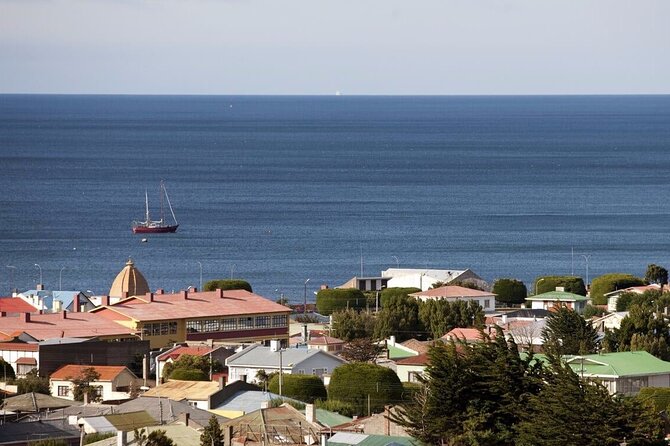 Punta Arenas Sightseeing Tour - Confirmation and Accessibility