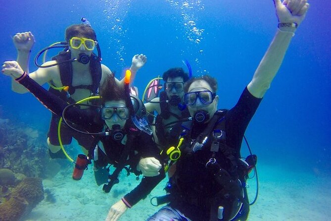 Punta Cana Reef Diving Adventure Explore Underwater Wonders - Gear and Equipment Provided