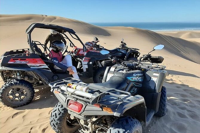 Quad Biking and Camel Ride Experience - Camel Ride and Sunset