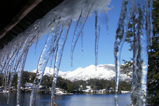 Quila Quina and Mapuche Community From San Martin De Los Andes - Frequently Asked Questions