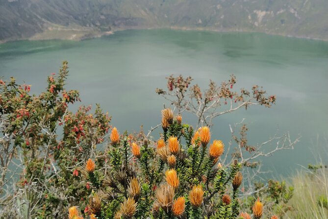 Quilotoa, Tigua and Zumbahua Full Day - Inclusions and Amenities