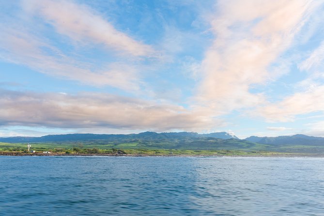 RAFT ADVENTURE - Whale Watch Discovery - Tips for an Enjoyable Adventure