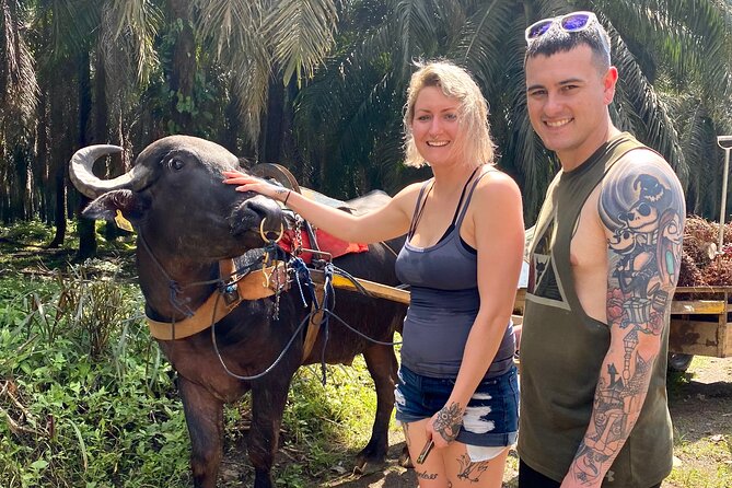 Rainmaker Park Adventure Tour - Traveler Feedback Highlights