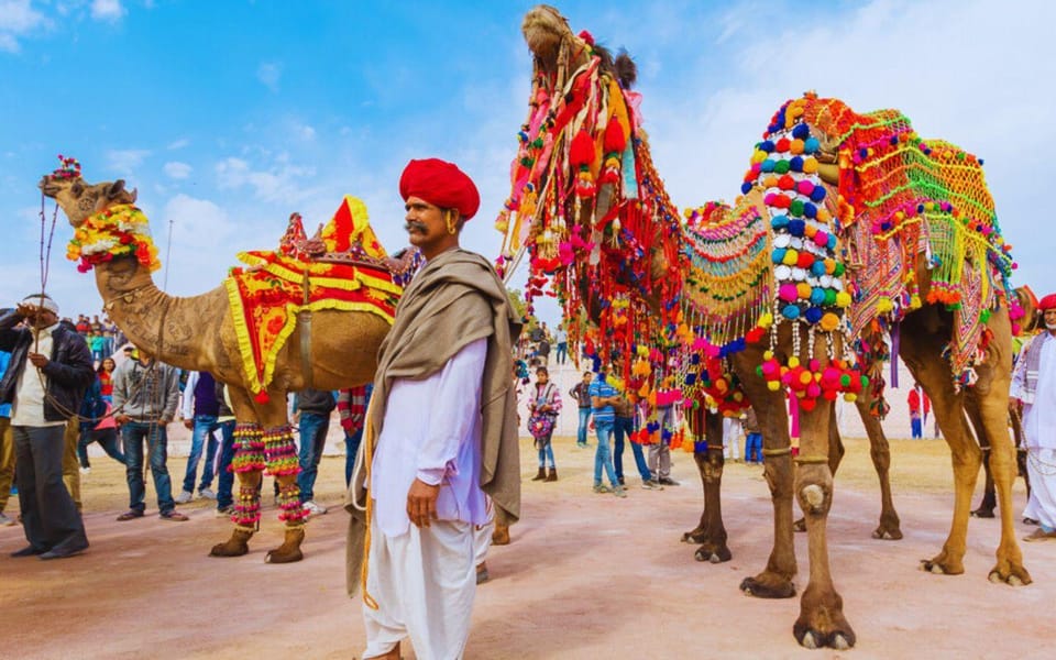 Rajasthan Cultural Tours - Inclusions