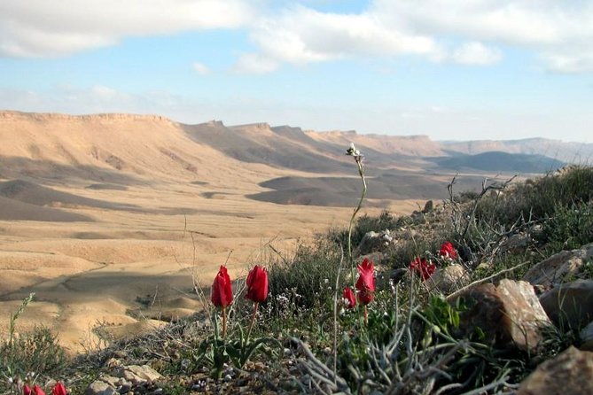 Ramon Crater Jeep Tour From Mitzpe Ramon - Tips for Travelers