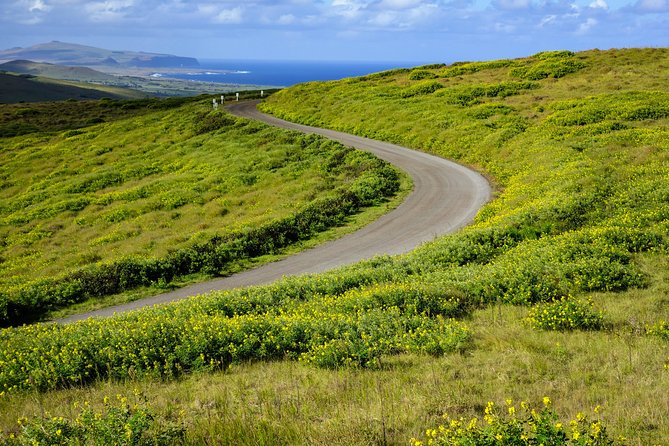 Rano Kau and Orongo: Half Day Private Tour - Meeting and Pickup
