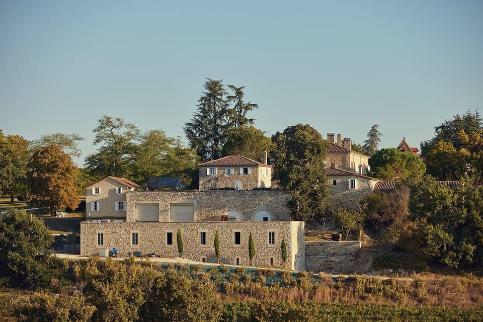 Reading: Vineyard Tour & Tasting at Château Arton - Wine Selection