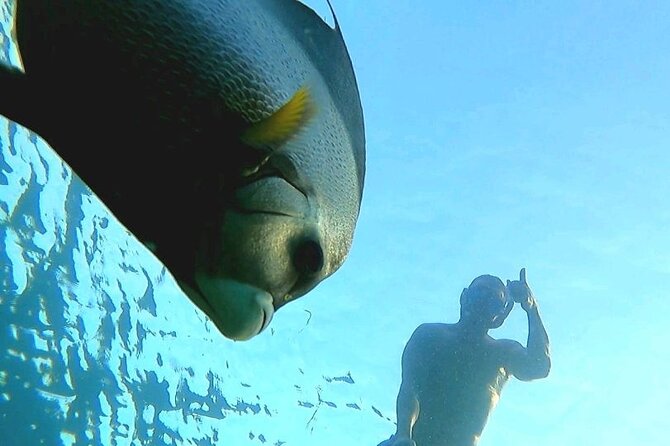 Reef Snorkel & Ocean Paddle Adventure in Fort Lauderdale Beach - Booking Information