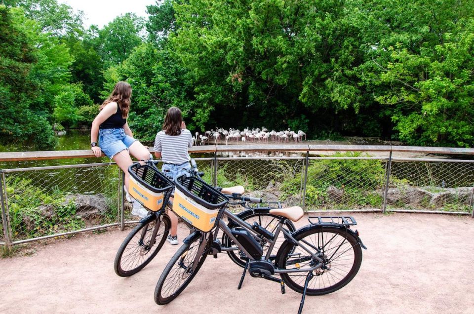 Rent a Ebike for 2h - Meeting Point and Languages