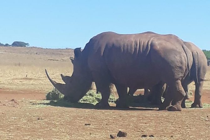Rhino & Lion Nature Reserve - Accessibility Information