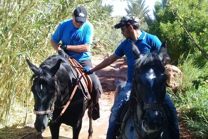 Ride the Cast of Famous Hollywood Movies on Set in Their Natural Environment! - Health and Safety Considerations