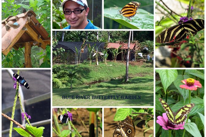 Rincon De La Vieja Day Trip Adventure From Playa Del Coco - Lunch at the Blue River Resort
