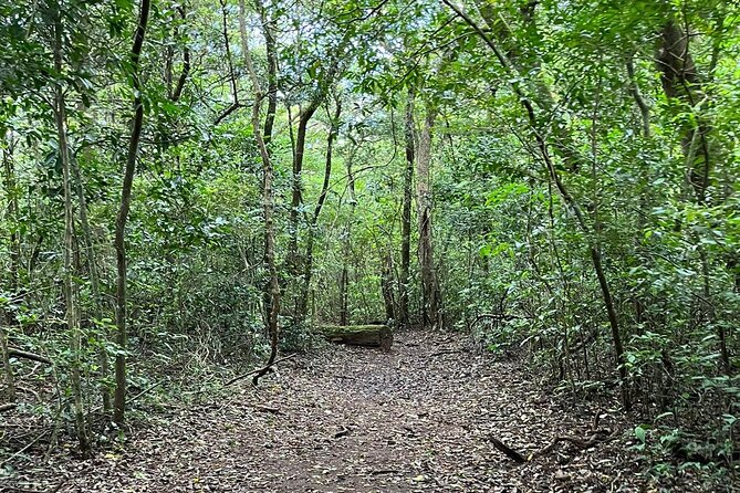 Rincon De La Vieja/Santa Maria Nature Hike & Hot Springs/Half Day - Meeting Point and Logistics