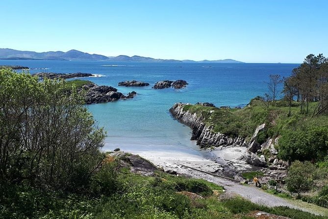 Ring of Kerry Private Day Tour - Beach Walk at St. Finians Bay
