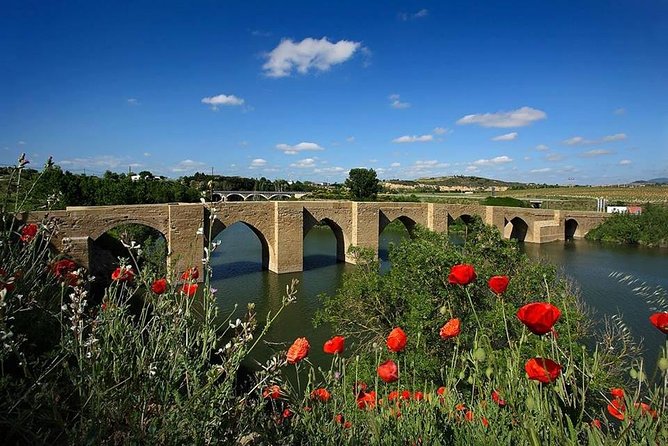Rioja Alavesa Wineries and Medieval Villages Day Trip - Sampling Local Tapas