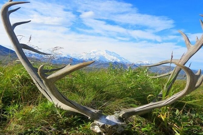 River Rafting in Alaska Wilderness - Sum Up