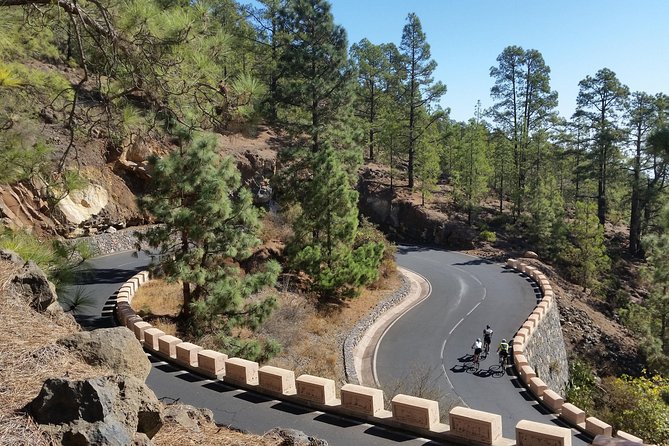 Road Cycling Tenerife - Teide Route - Customizing Your Experience