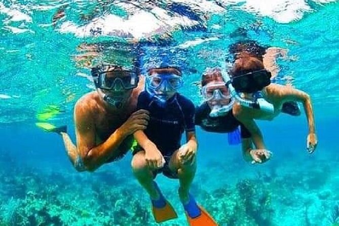 Roatan Chocolate Factory Rum Factory and Beach Day Tour - Customer Reviews and Ratings