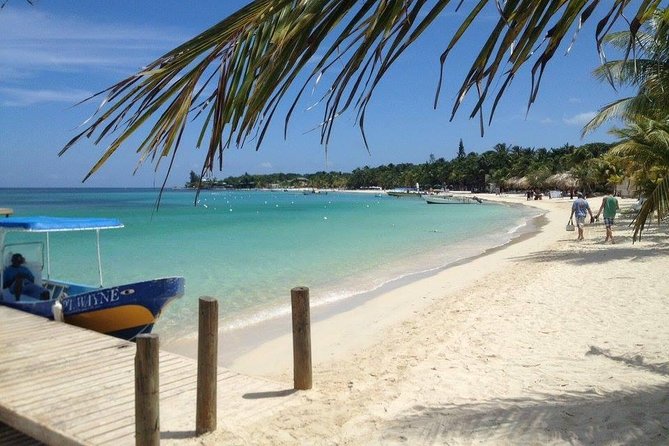 Roatan Parasailing Shore Excursion Adventure and Reef Snorkel - Reef Snorkeling Experience