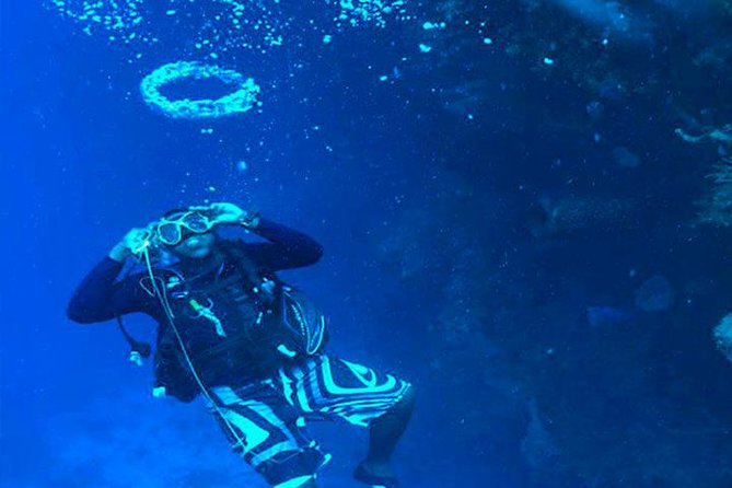 Roatan Reactive-Refresher Dive Course - Reasons to Choose Roatan
