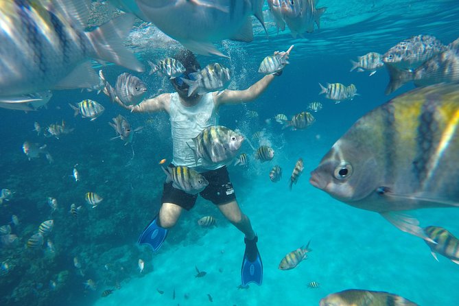 ROATAN: Zipline-Sloths-Snorkeling-City Tour Chocolate & Rum - Transportation Accommodations