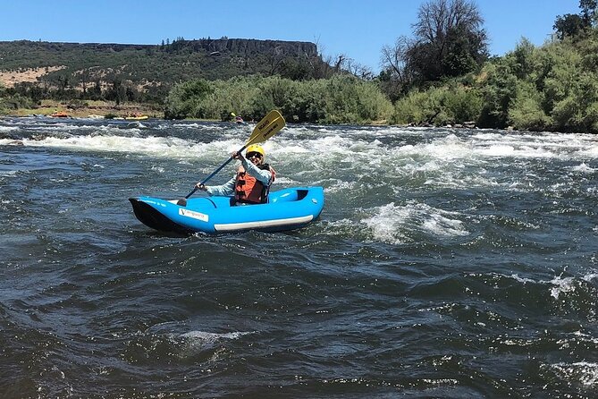 Rogue River Family Float & Discovery Park-Rafting and Kayaking - Capturing Memorable Moments on the Water