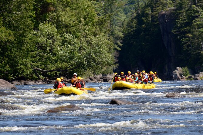 Rouge River Family Rafting Must Include a Kid (6-11 Yrs) - Positive Guest Experiences