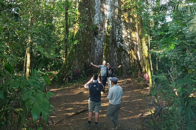 Round Trip Liberia Airport Guanacaste, Arenal La Fortuna - Guaranteed Comfortable Travel