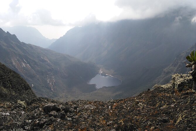 Rwenzori Mountains Trekking With Margherita Peak Summit - Safety Considerations and Precautions