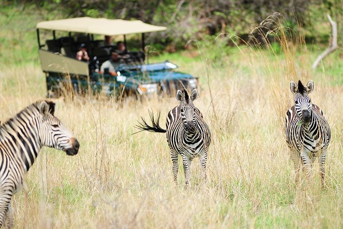 Safari Game Drive in Zambezi National Park With Hotel Pickup - Traveler Reviews and Ratings