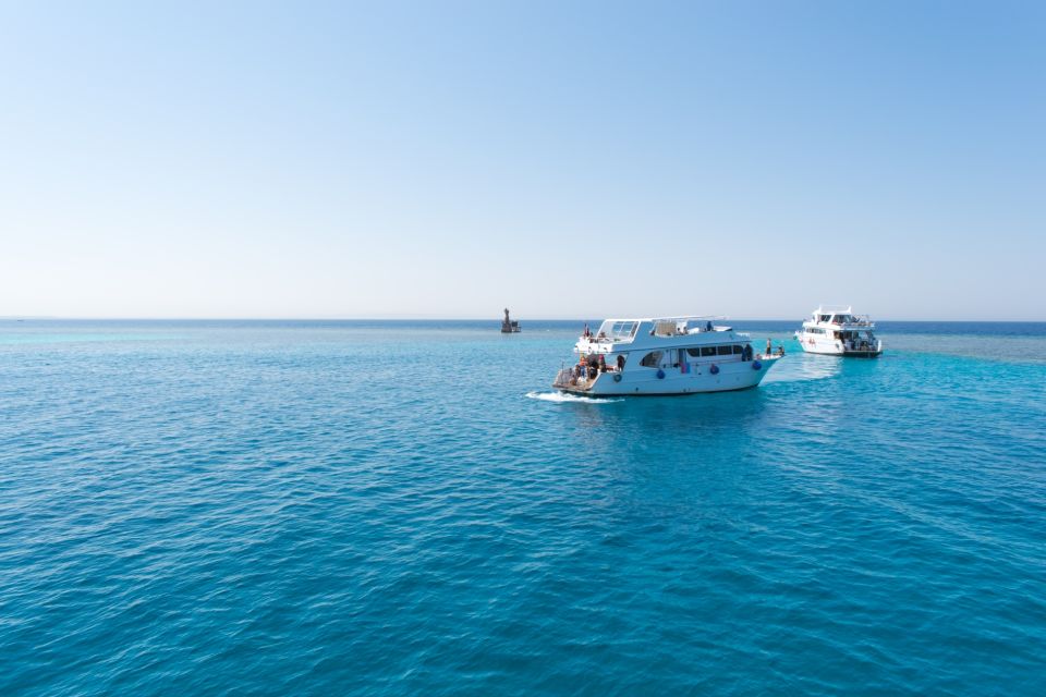 Sahl Hasheesh: Dolphin Watching Boat Tour With Snorkeling - Dolphin Watching Experience