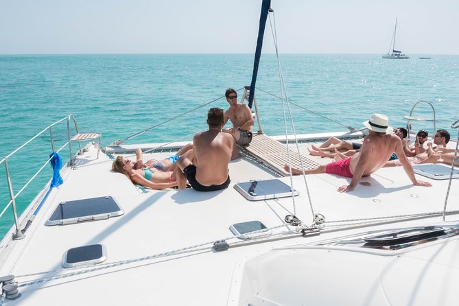 Sailing Catamaran Cruises - Wildlife Sightings