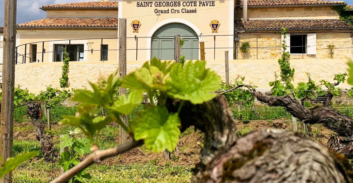 Saint-Émilion: Bordeaux Vineyard Tour and Wine Tasting - Booking Information