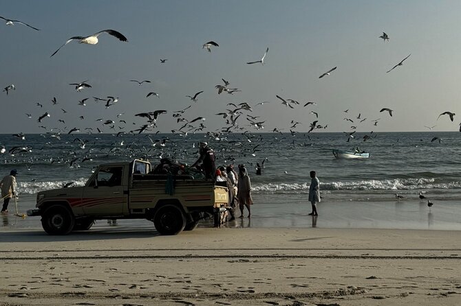 Salalah City Tour: Discover Salalahs Treasures With a Local Guide - Accessibility Features