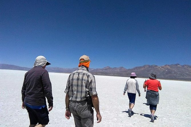 Salinas Salt Lagoon Private Tour - Day Trip From Arequipa - Scenic Views and Landscapes