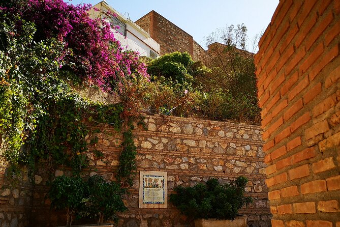 Salobreña Castle and Old Town Tour - Accessibility