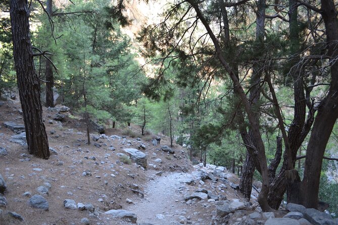 Samaria Gorge From Chania - Hiking Experience and Scenic Highlights